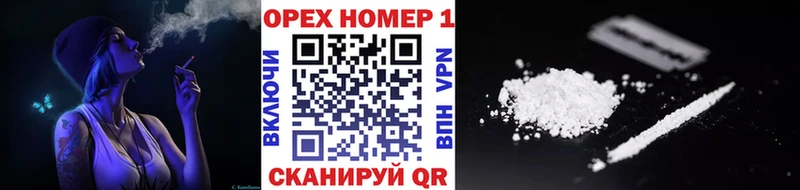 цена   Куровское  COCAIN VHQ 
