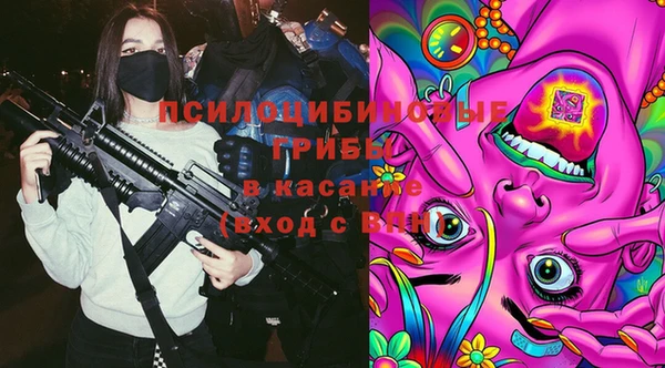 спиды Новодвинск
