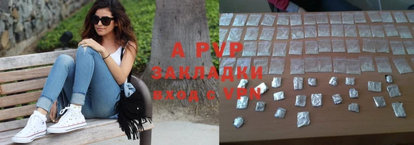 спиды Новодвинск