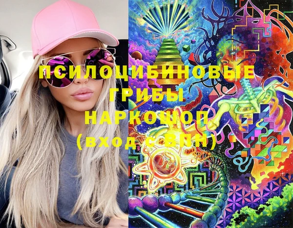 а пвп мука Новозыбков