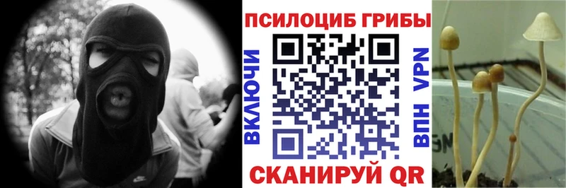 Псилоцибиновые грибы GOLDEN TEACHER  Куровское 