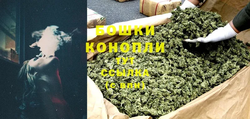 где купить наркоту  blacksprut зеркало  Марихуана White Widow  Куровское 