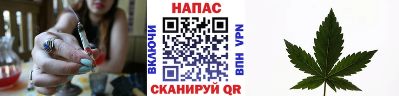 Шишки марихуана VHQ  где купить   Куровское 